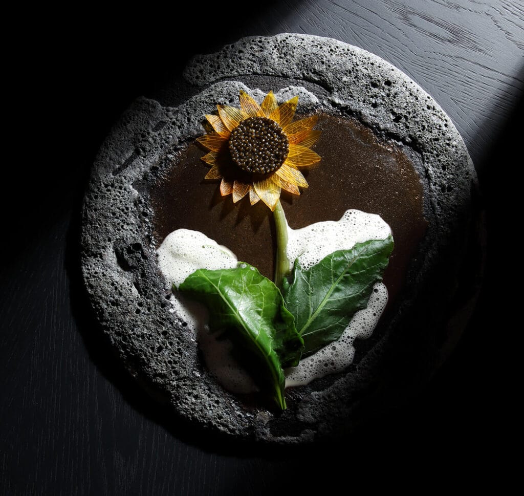 our sunflower