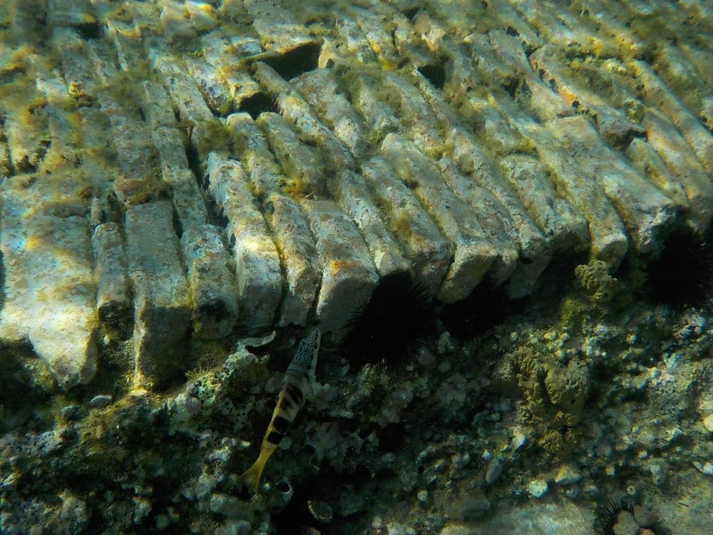 seakayak-epidauros-05